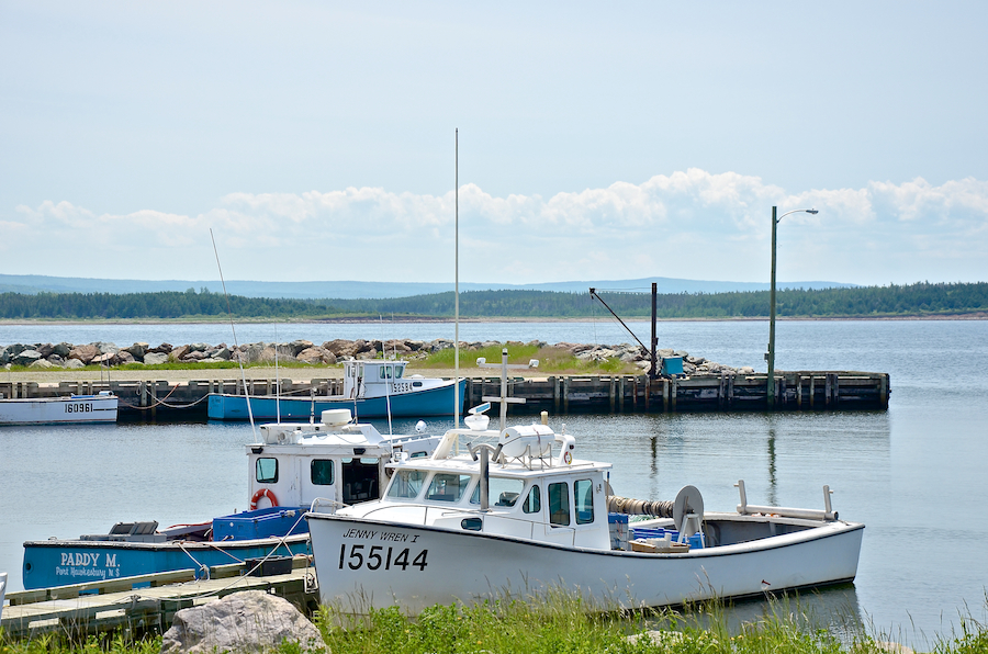 Big Rorys Cove