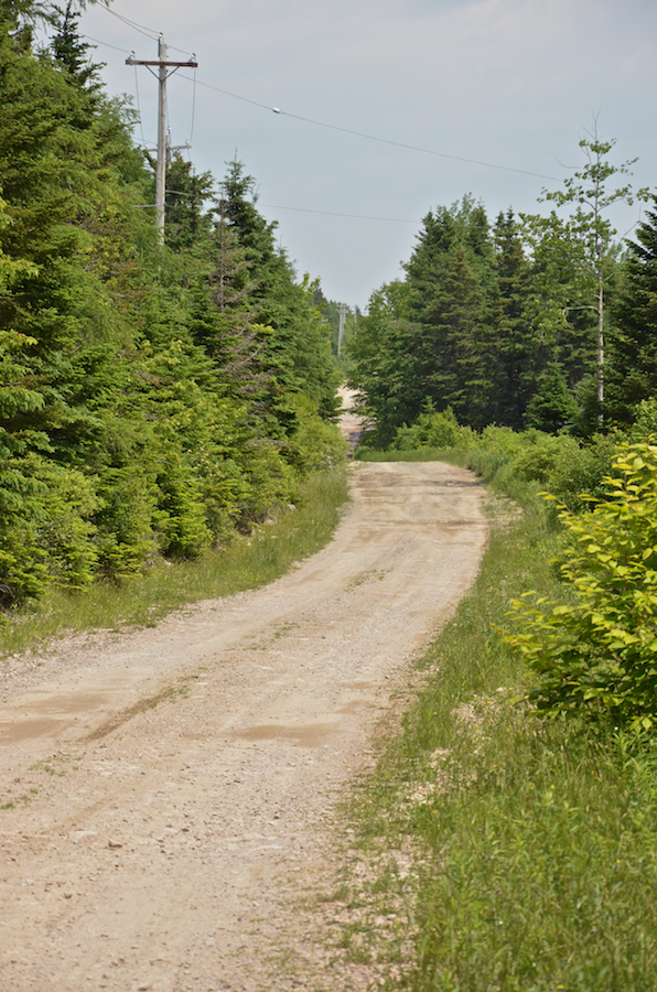 The Upper Leitches Creek Road