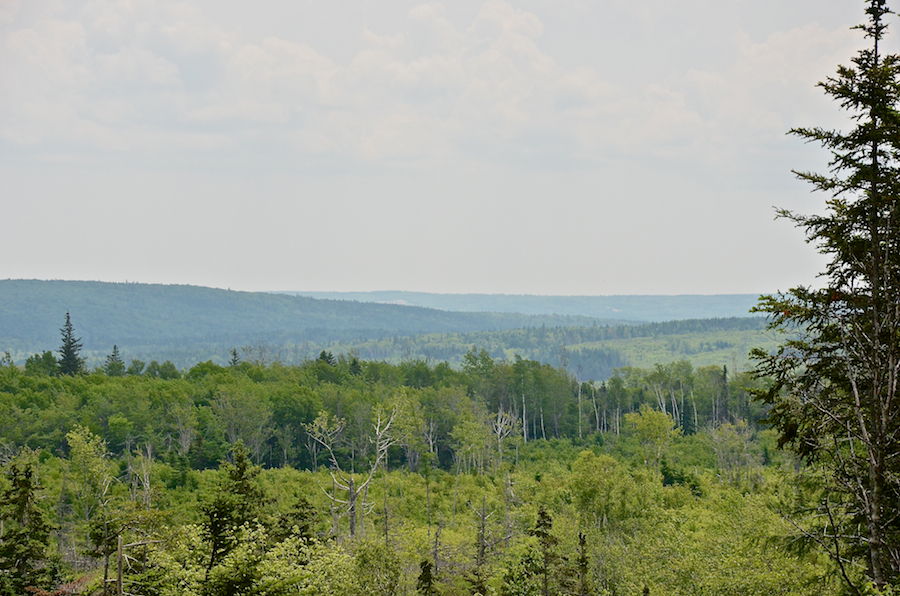 Looking across the Frenchvale Valley