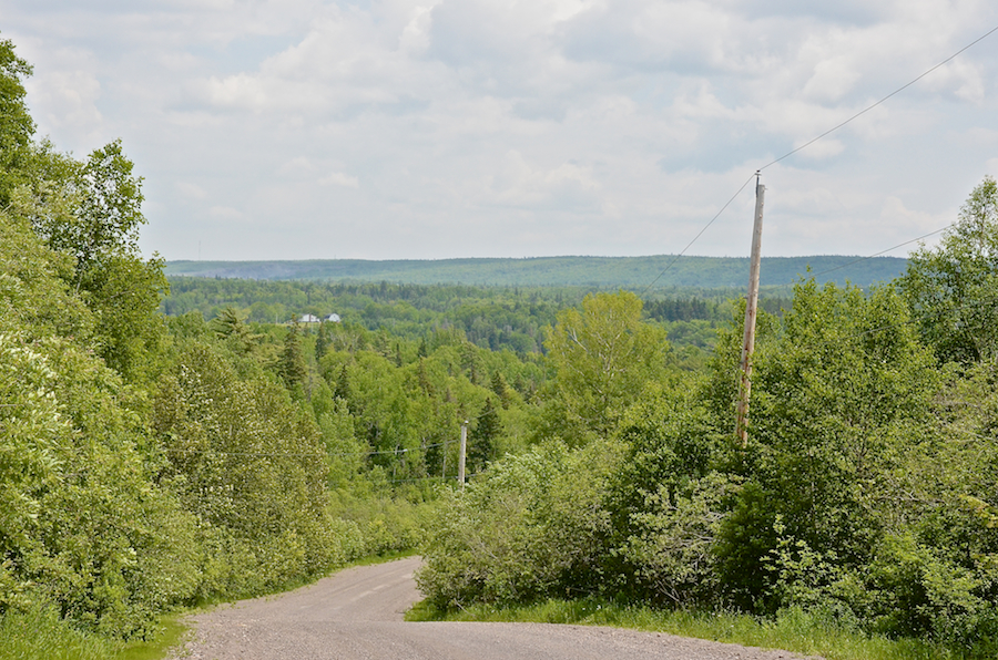Descending into the Frenchvale Brook Valley
