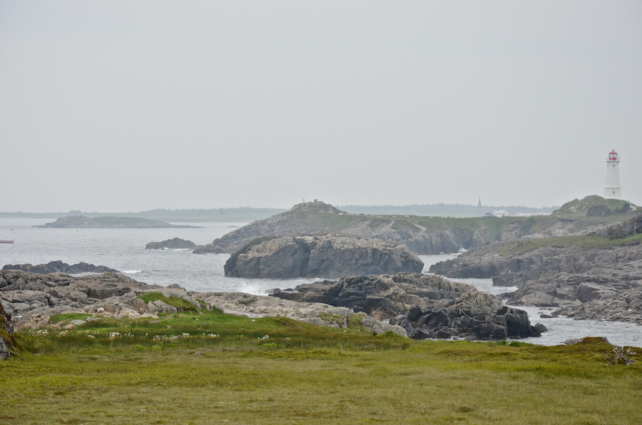 Looking back from Western Gun Landing Cove Head