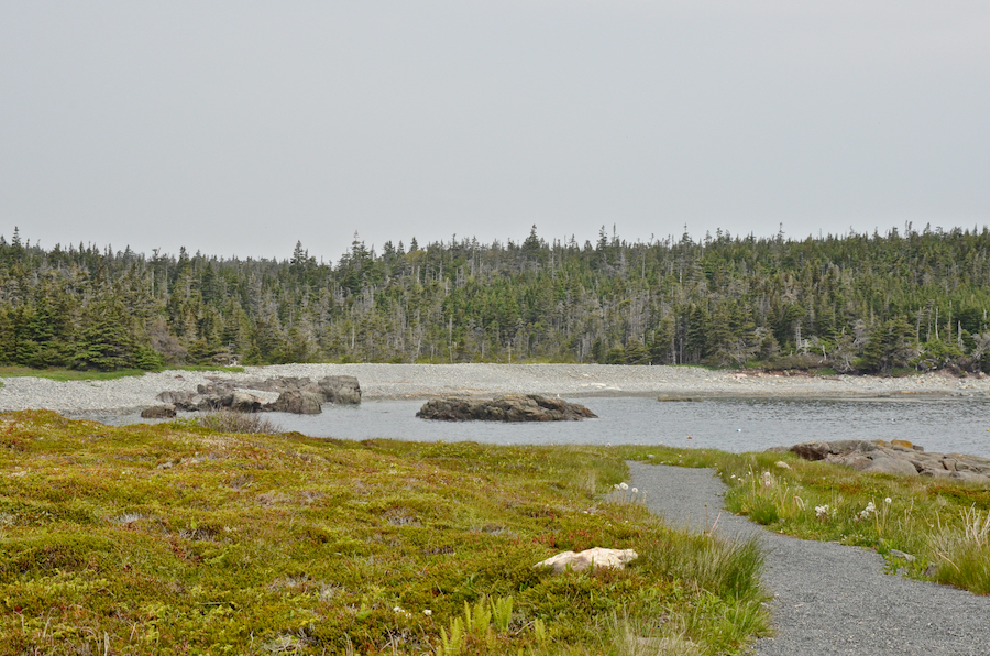 Gun Landing Cove from the trail along the eastern side of Western Gun Landing Cove Head