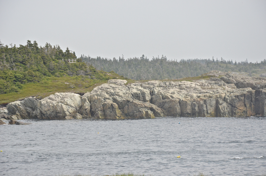 Cliffs on Eastern Gun Landing Cove Head