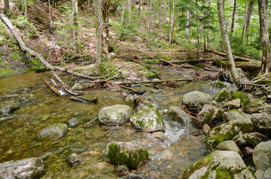 The brook as it flows past the picnic table