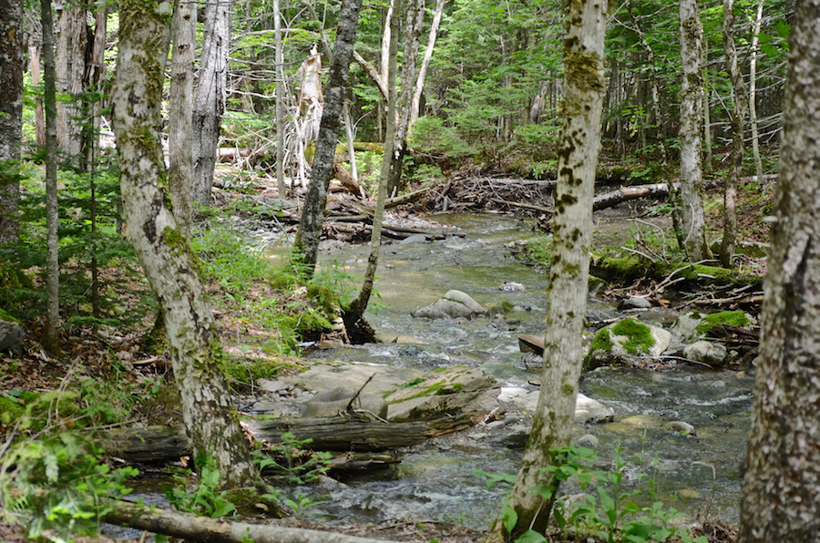 The brook goes on its way down the mountainside