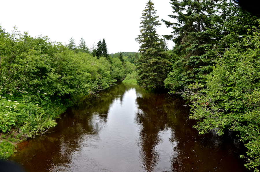 Looking downstream from the bridge on Maple Brook Road