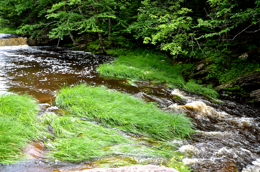 The lower edge of the upper pool and the chute to the lower falls