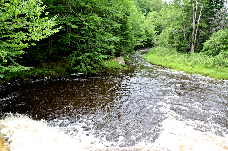 The pool below the lower falls