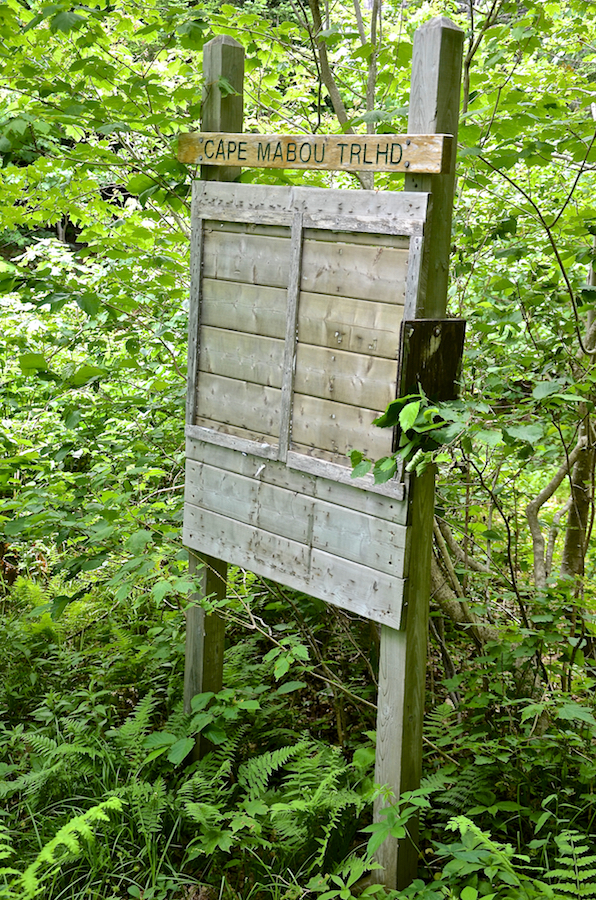 The Cape Mabou Trail Head