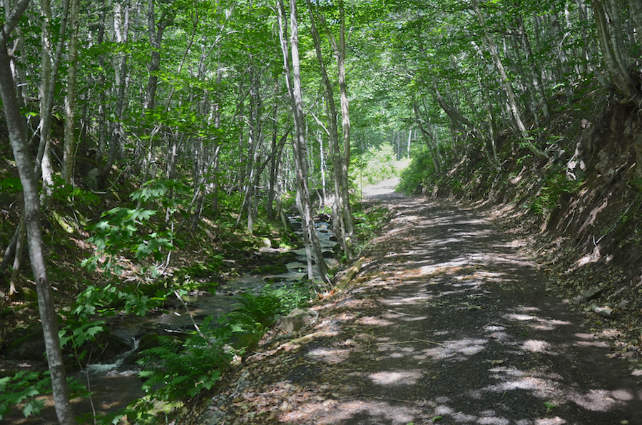 Argyle Brook beside Logans Glen Road