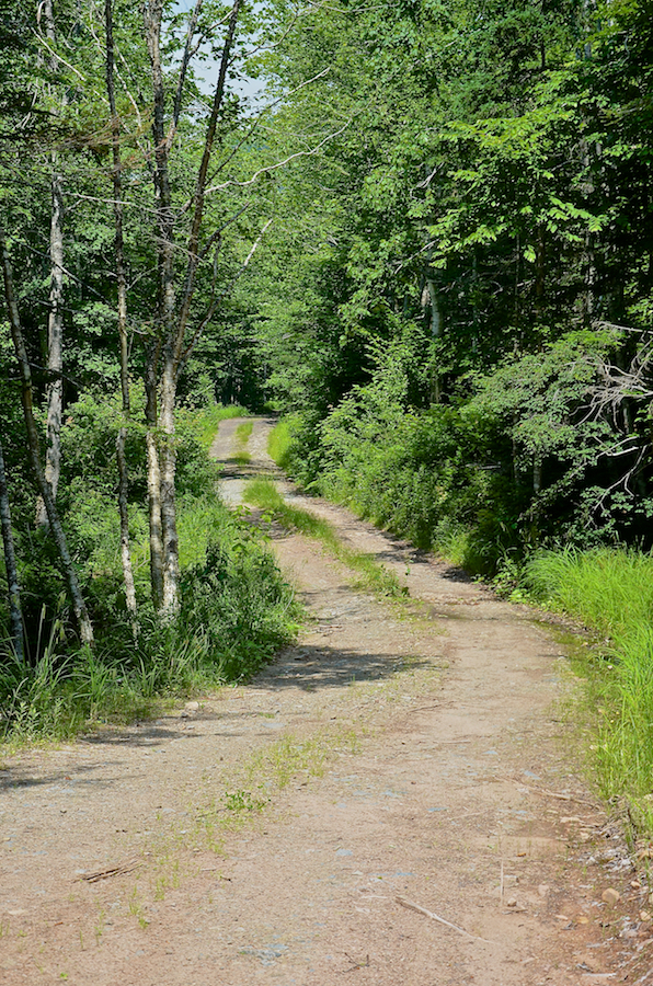 Logans Glen Road