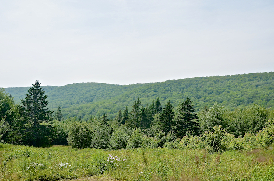 Whycocomagh Mountain from the MacLeod homestead
