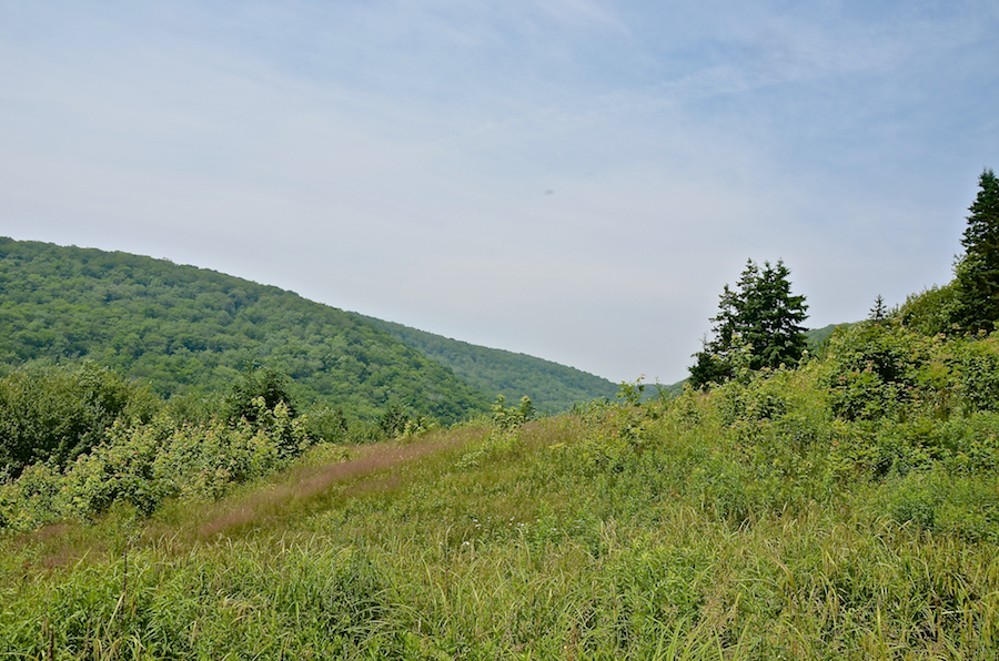 The northern end of Logans Glen