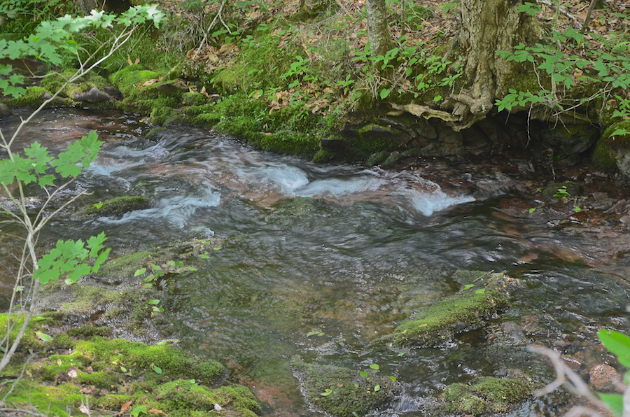 Argyle Brook
