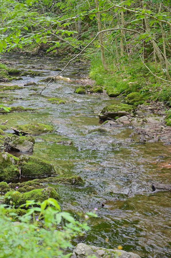 Argyle Brook