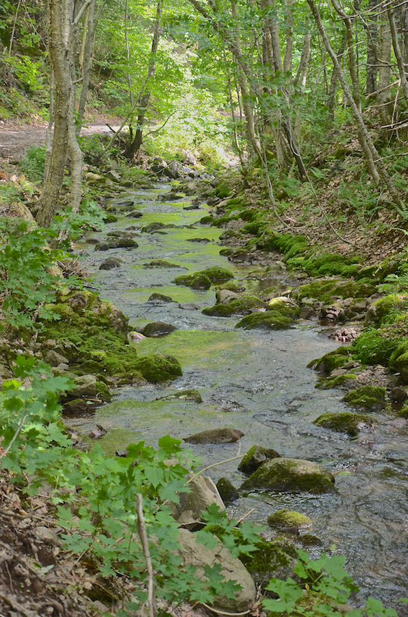 Argyle Brook