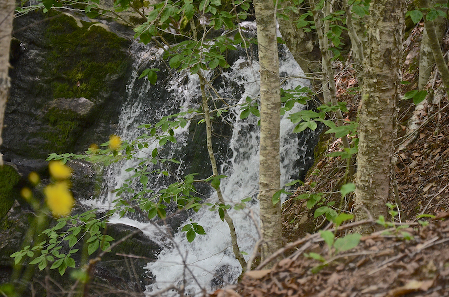 Logans Glen Falls