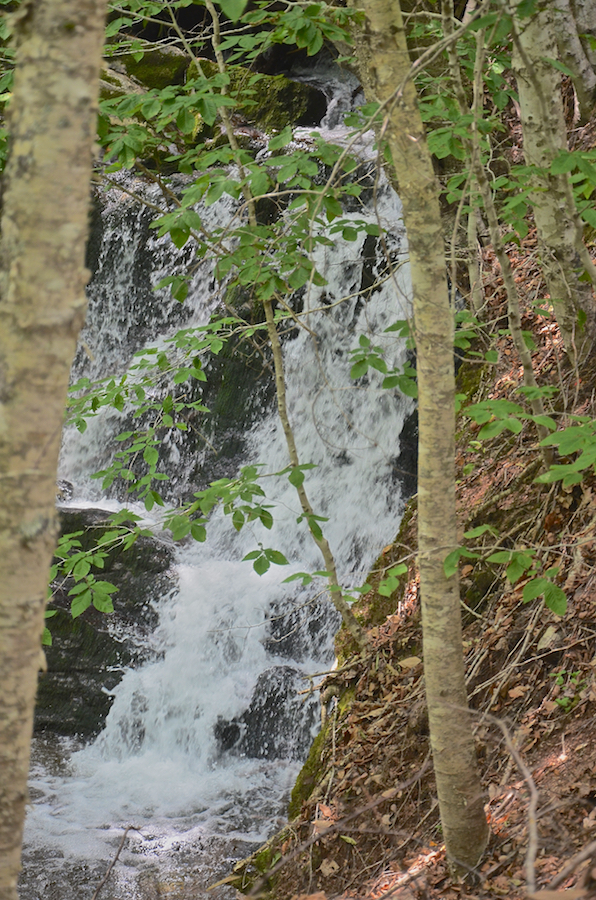 Logans Glen Falls