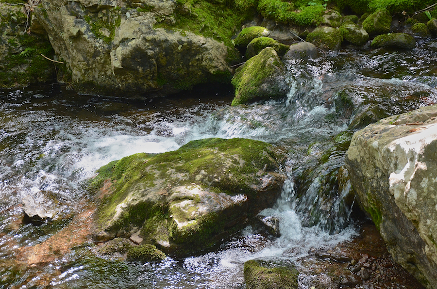 Another small cascade below Logans Glen Falls