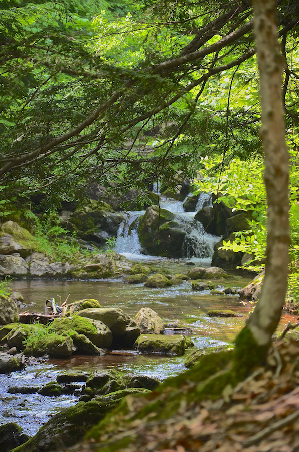A beautiful multiple cascade below Logans Glen Falls