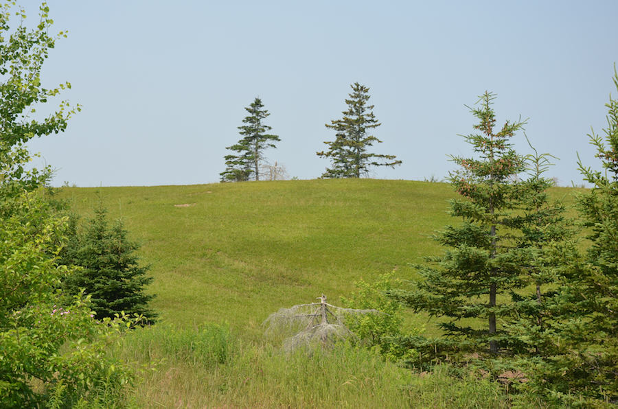 Field along the Melrose Hill Road