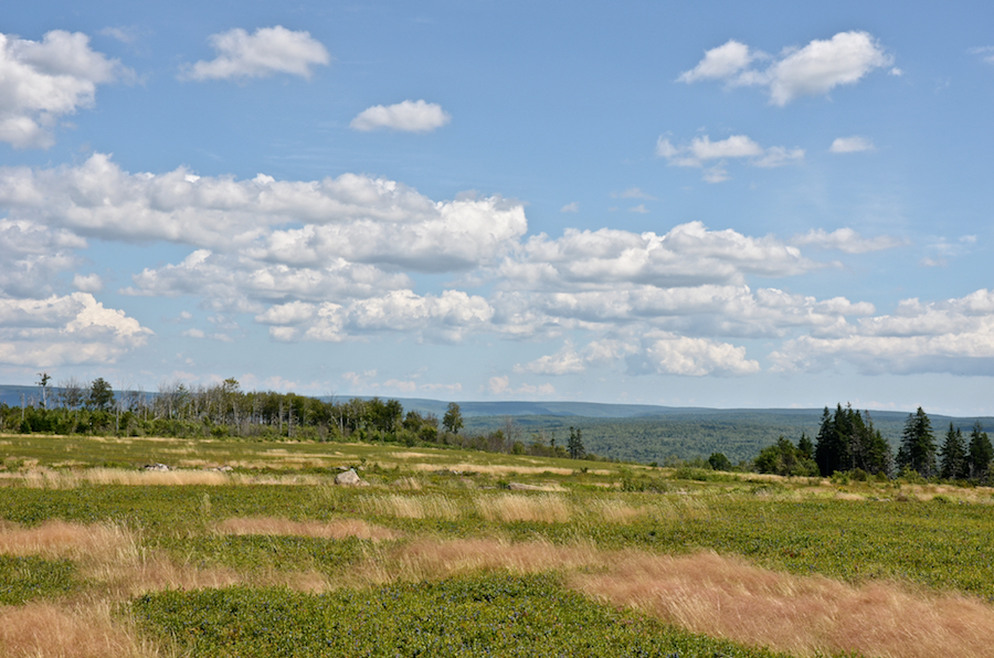 Panorama from Mount Young: Part 1 of 3