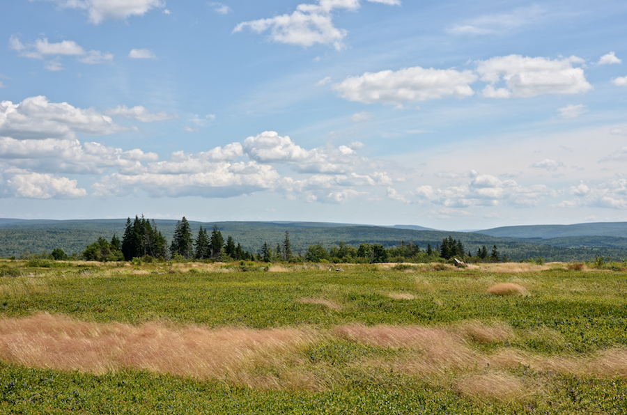 Panorama from Mount Young: Part 2 of 3