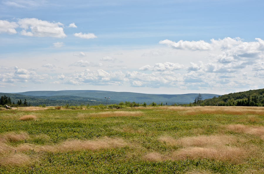 Panorama from Mount Young: Part 3 of 3