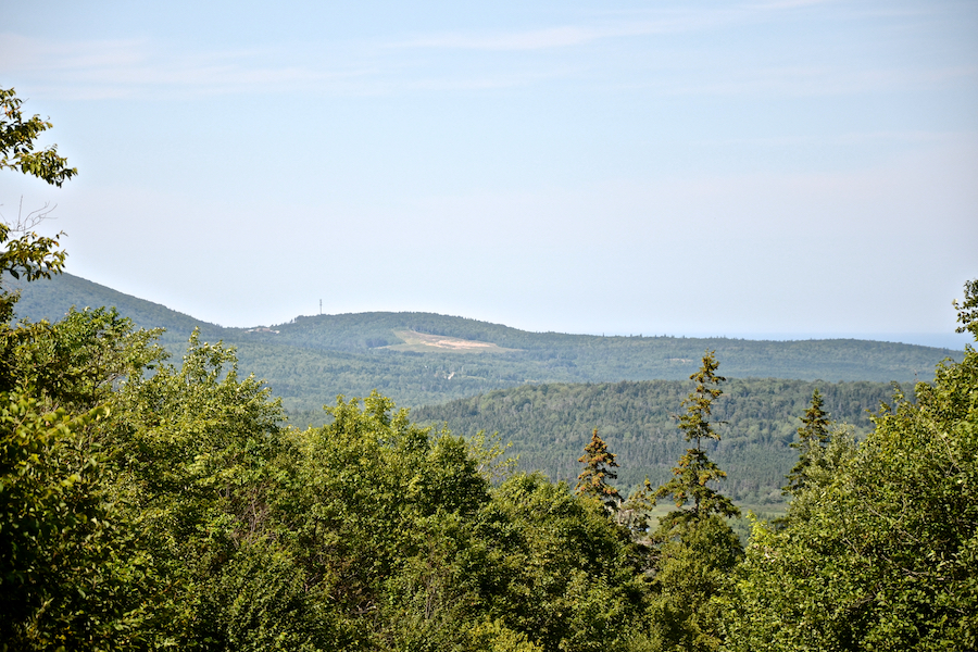 Foot Cape from the Mount Young Road