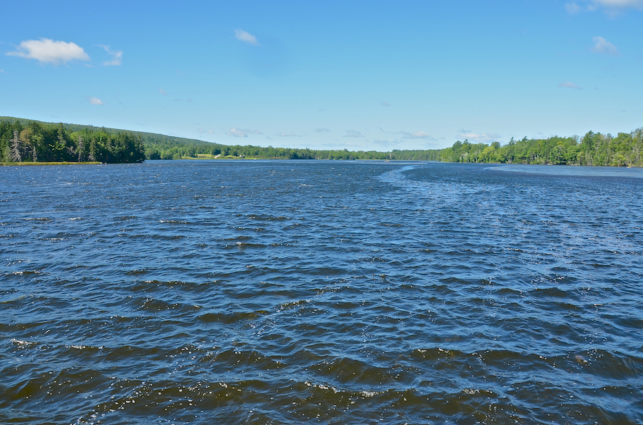 Looking upriver at River Denys from the causeway