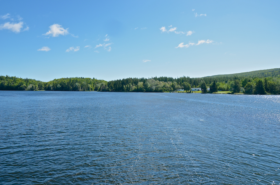 The view to the east from the causeway across the River Denys