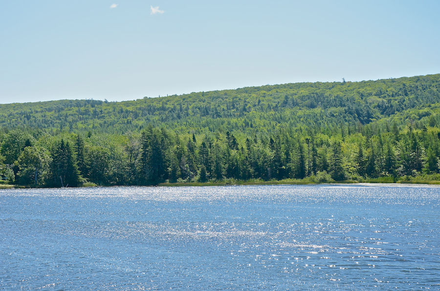North Mountain rises above the edge of River Denys