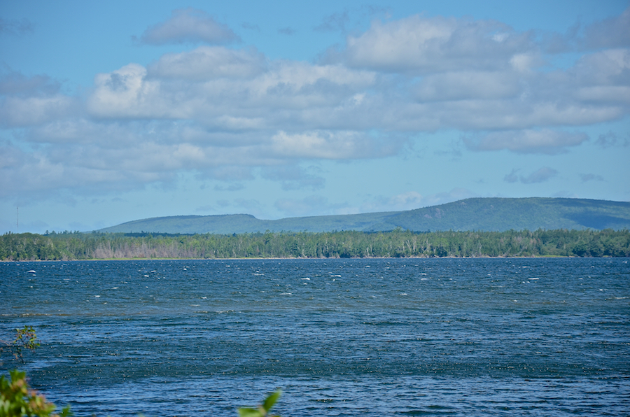 Detail of the central portion of photo #1