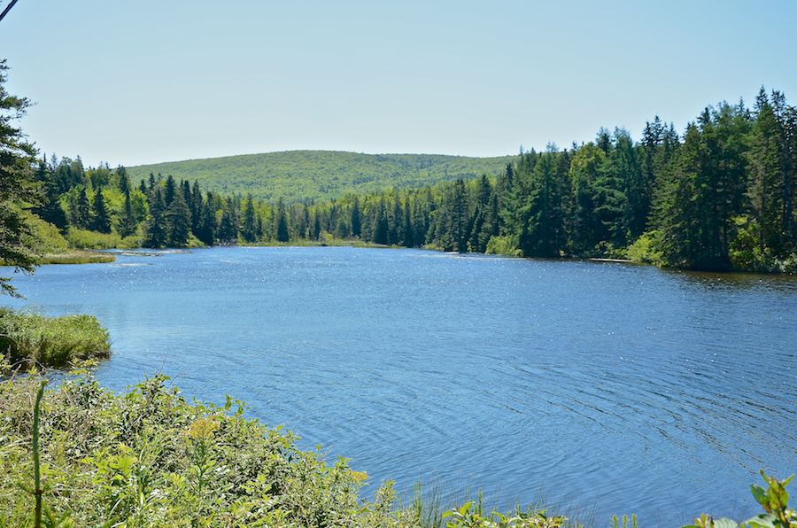 One of the two Glen Ponds