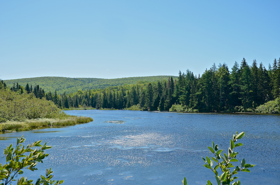 One of the two Glen Ponds