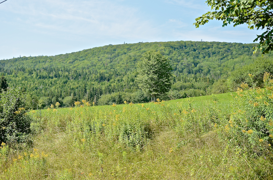 The edge of the “Great Central Interior Plateau” to the west of the Middle River West Road