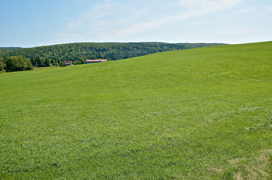 A green field on the east side of the Middle River West Road