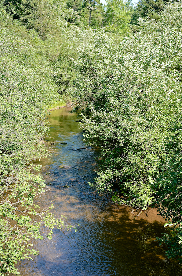 Looking upstream at Indian Brook from the Gairloch Mountain Road bridge
