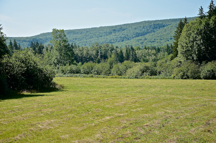 Looking at the edge of the “Great Central Interior Plateau” across a recently mown field