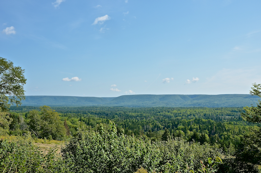 The Cape Breton Highlands from the Indian Brook Road