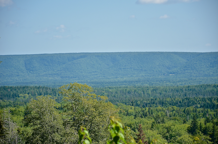 The Cape Breton Highlands from the Indian Brook Road, Part 1 of 5