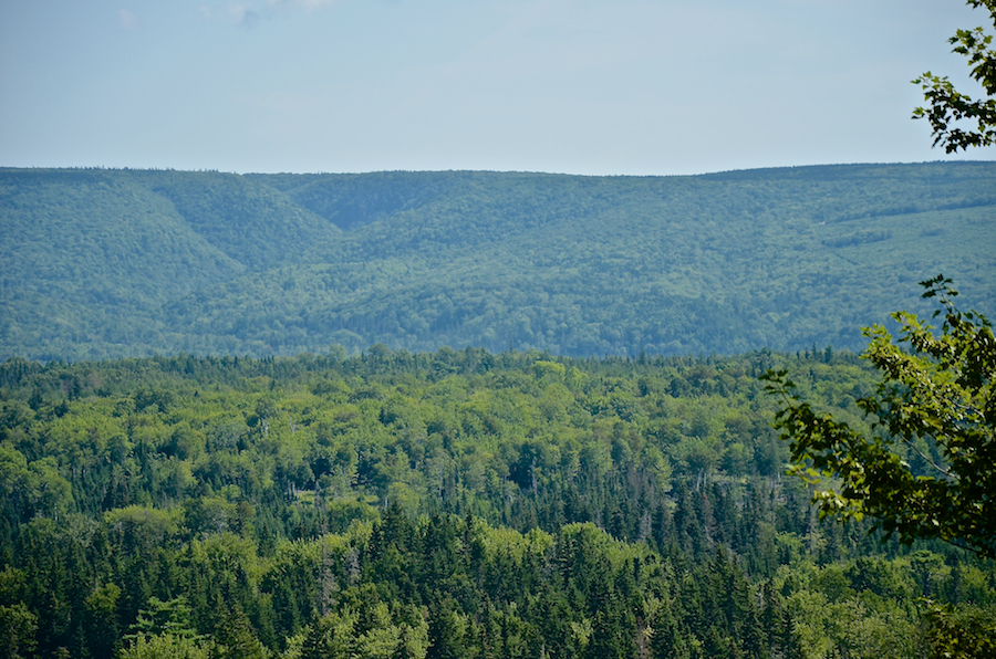The Cape Breton Highlands from the Indian Brook Road, Part 5 of 5