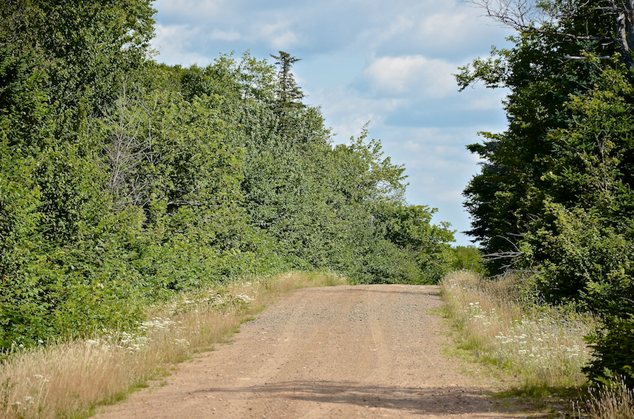 Looking backward along the Gairloch Mountain Road from the plateau