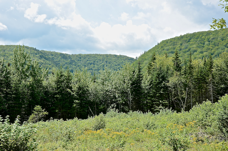The “Black Brook Gap”