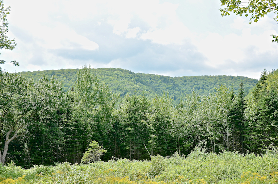 The “Black Brook Gap” and its southern continuation