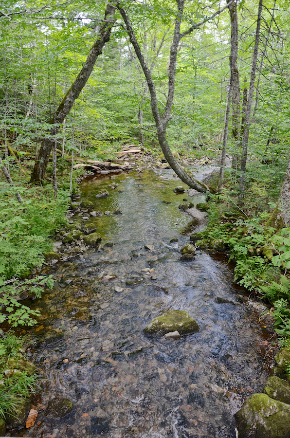 Falls Brook