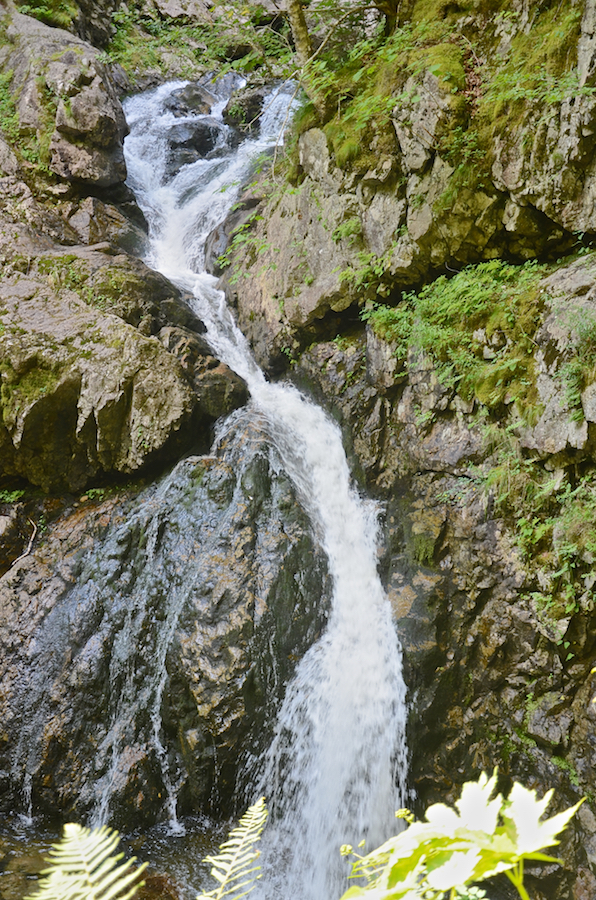 The lower falls from above the pool at the base of the falls