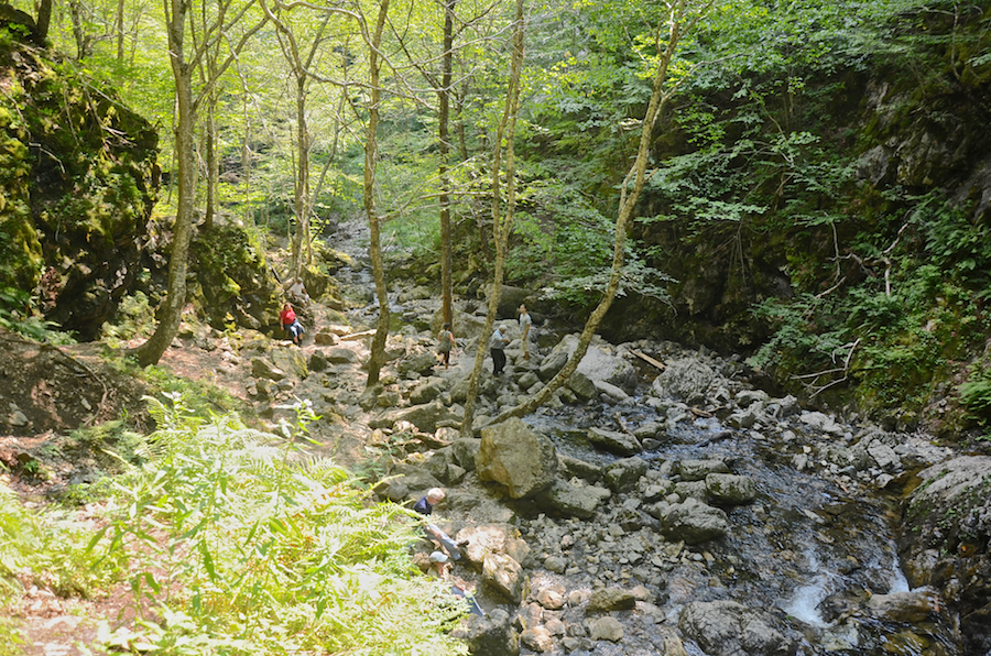 Falls Brook just below the pool at the base of the falls