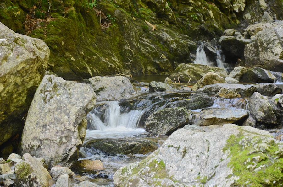 Falls Brook just below the pool at the base of the falls