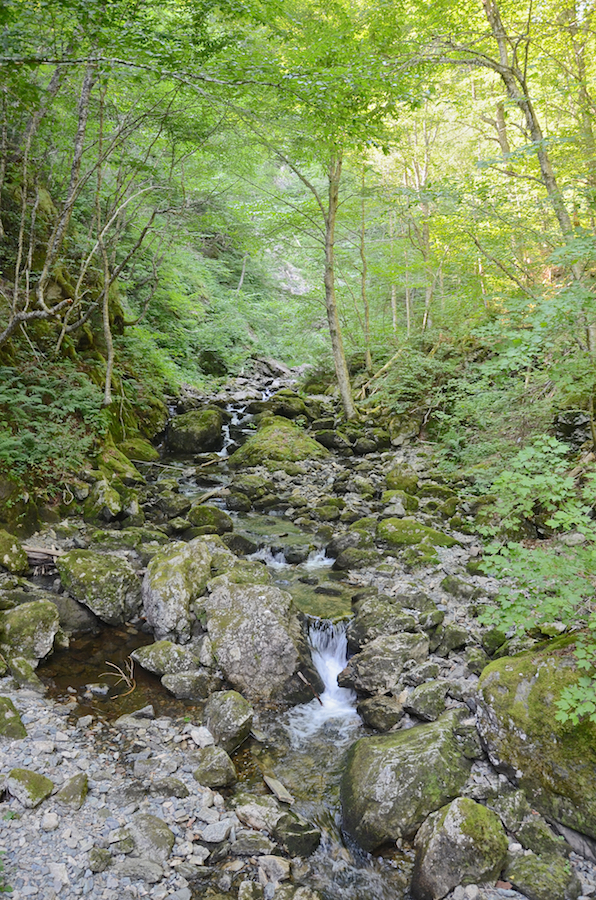 Falls Brook
